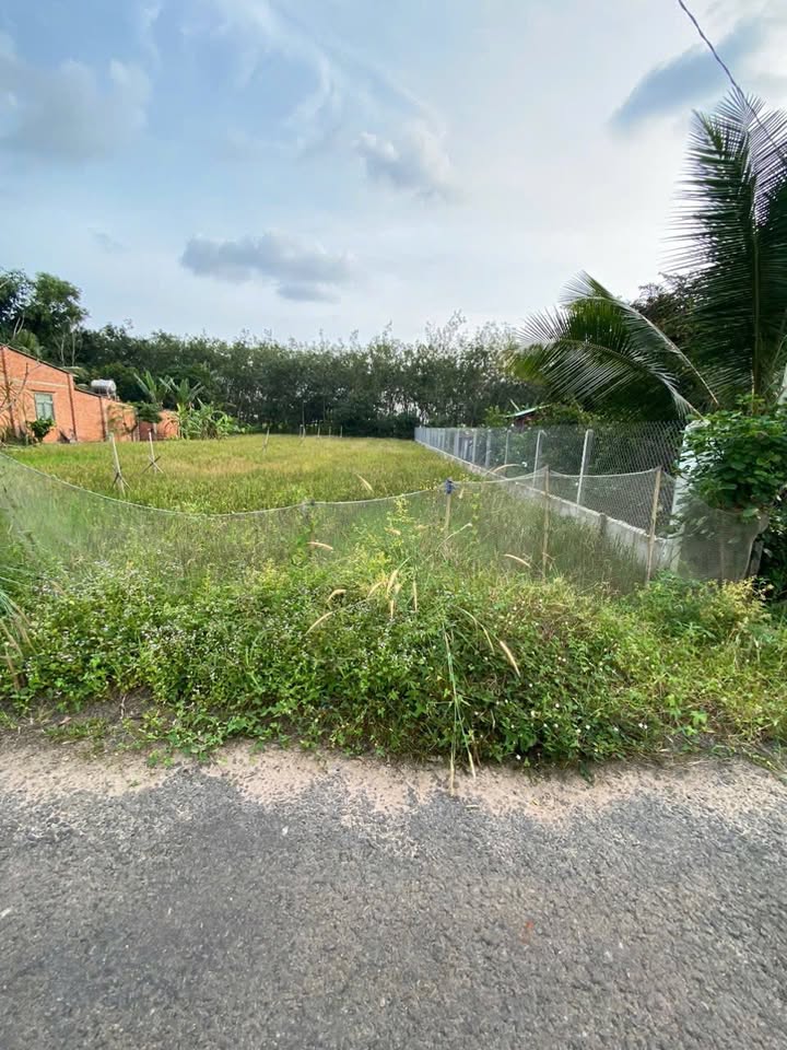 Đất thổ cư 560m² Ấp 4, xã Tân Thành, Tây Ninh - Giá chỉ 538 triệu