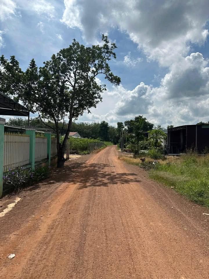 Đất thổ cư Tân Bình, Tây Ninh 270m² giá 330 triệu - Đường thông thoáng gần chợ