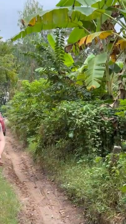 Đất nền ấp Phước Thạnh, xã Phước Vinh, 160m² giá 130 triệu - Cơ hội đầu tư tuyệt vời!