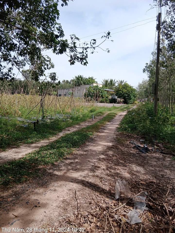 Đất nền Hảo Đước, Châu Thành 2007m² giá chỉ 420 triệu - Cơ hội đầu tư hiếm có!