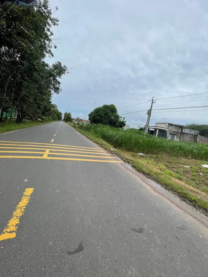 Đất mặt tiền đường 788, xã Phước Vinh, 1240m² giá 1.26 tỷ - Cơ hội đầu tư tuyệt vời!