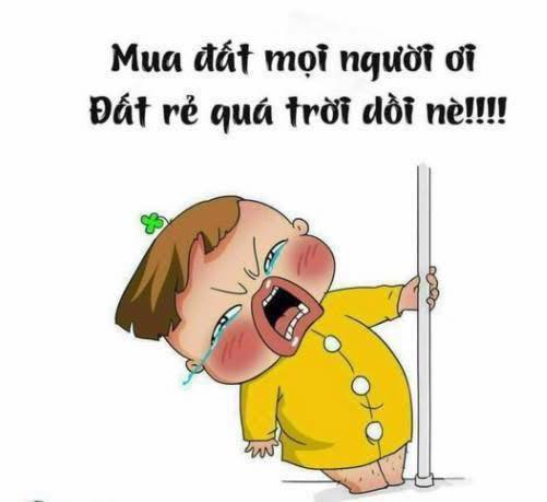 Đất nền 1000m² tại xã Dầu Giây, Đồng Nai - Giá chỉ 1 tỷ, sổ riêng chính chủ!