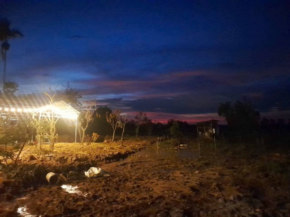 Bán gấp nhà vườn Cư Ê Wi 1200m² giá 1.32 tỷ - Sẵn sàng vào ở ngay!