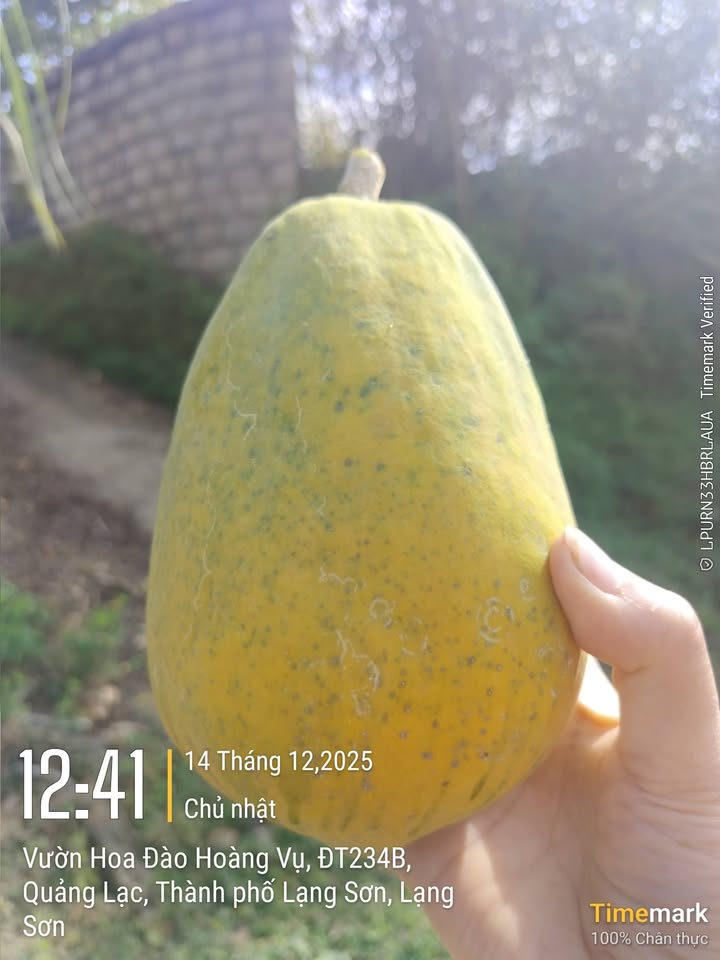 Đất thổ cư 520m² tại xã Quảng Lạc - Giá thỏa thuận hấp dẫn!