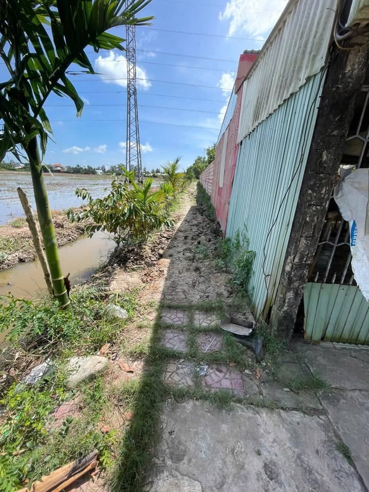 Đất nền nhà vườn Phường 2 Sóc Trăng 1228m² giá 800 triệu - Đầu tư sinh lời ngay!