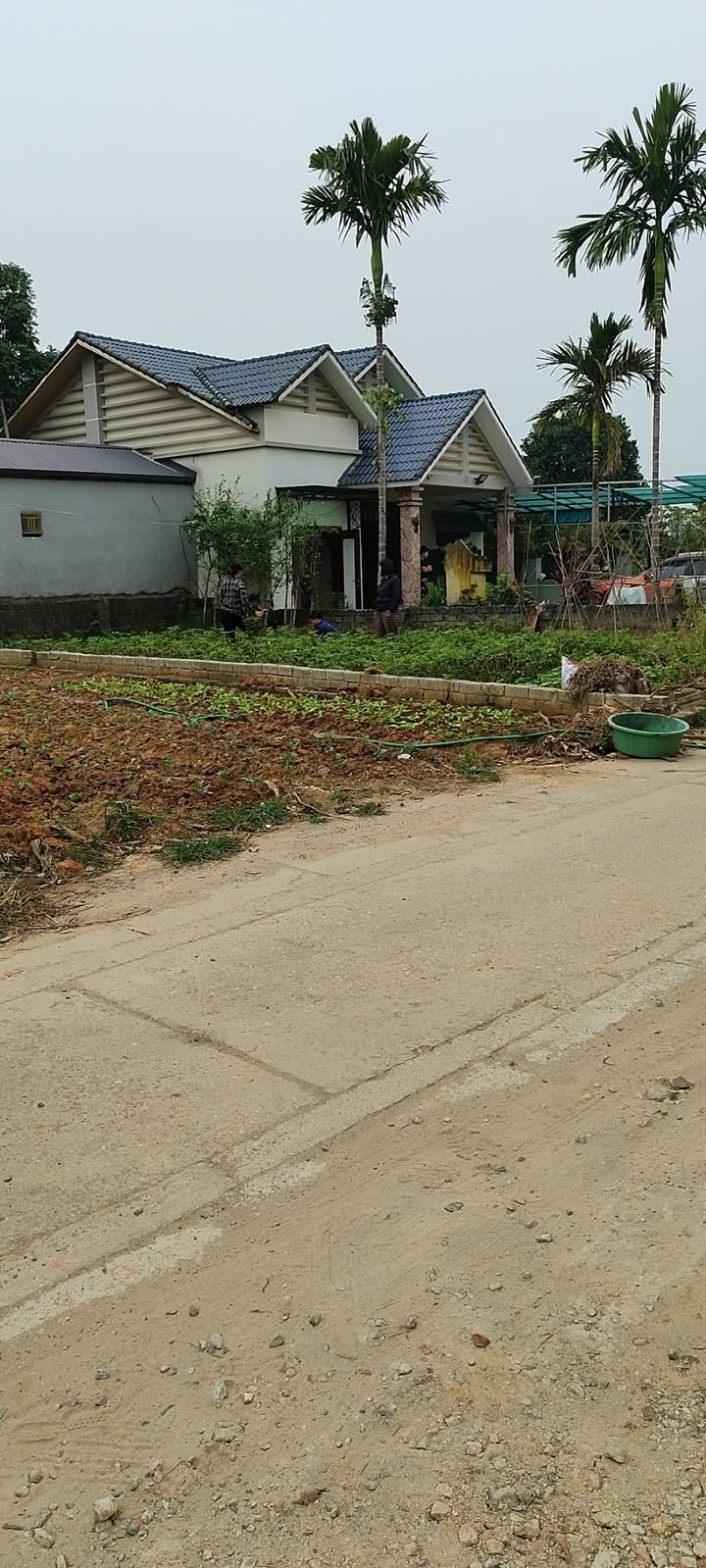 Đất nền Tùng Thiện - Sơn Tây 110m² giá 1 tỷ - Đường ô tô vào tận nơi!