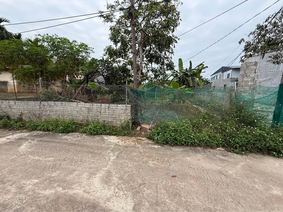 Đất thổ cư đường Trần Phú, xã Tân Thịnh 200m² giá 2 tỷ - Vị trí đắc địa cho biệt thự