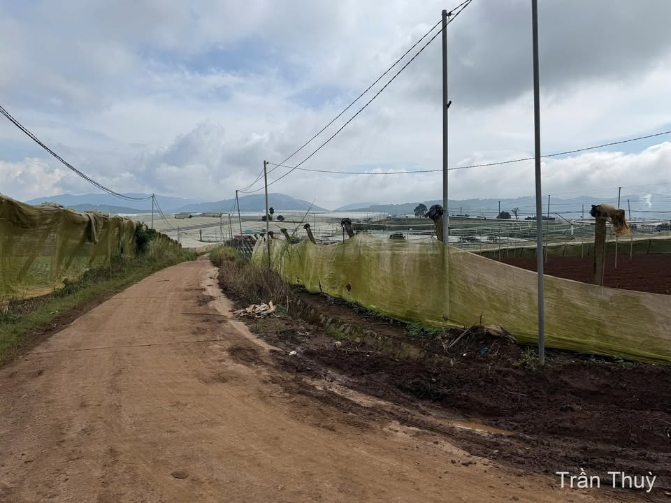 Đất nền Ka Đô Đơn Dương 5100m² giá 4.2 tỷ - Sổ riêng, pháp lý rõ ràng!