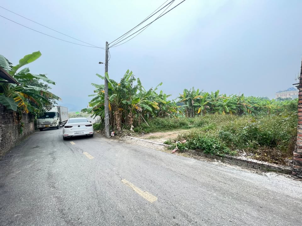 Đất Phù Linh Sóc Sơn 64m² giá 2 tỷ - Mặt tiền đường nhựa thuận lợi!