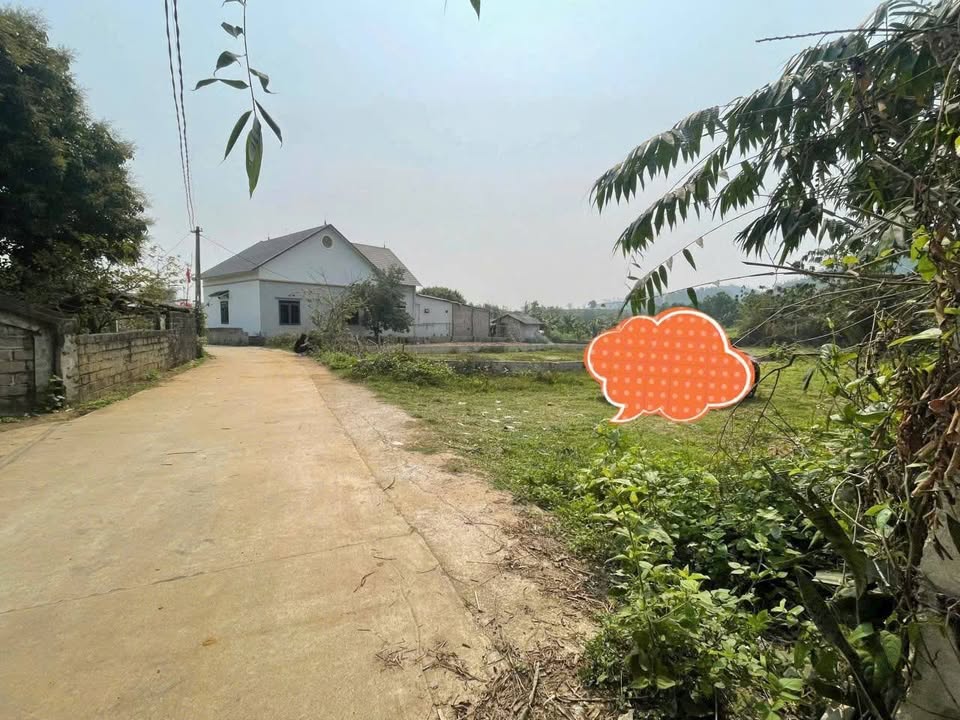 Lô đất Yên Bài, Ba Vì 206m² giá 2 tỷ - Đầu tư sinh lời tuyệt vời!