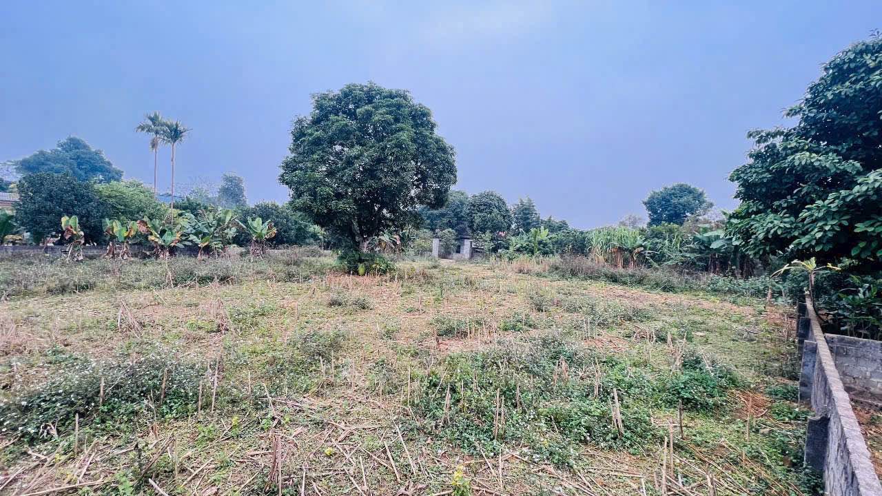 Đất nền Cư Yên Lương Sơn 1568m² giá thỏa thuận - Đầu tư sinh lời lý tưởng!