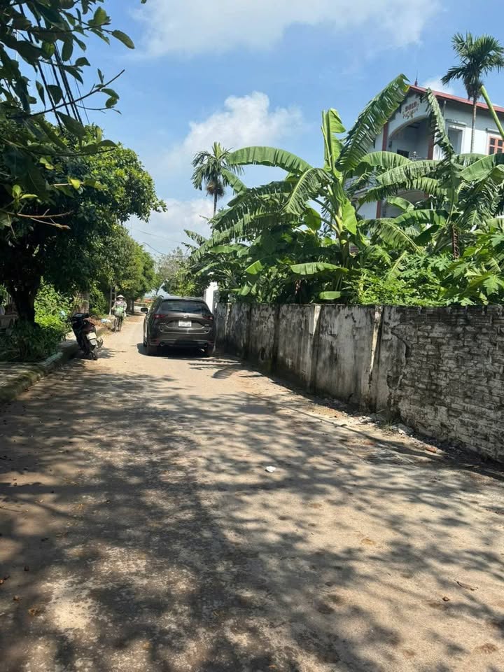 Đất thổ cư Tam Hưng 42,1m² giá 3 tỷ - Sát chợ, ô tô vào tận nơi!