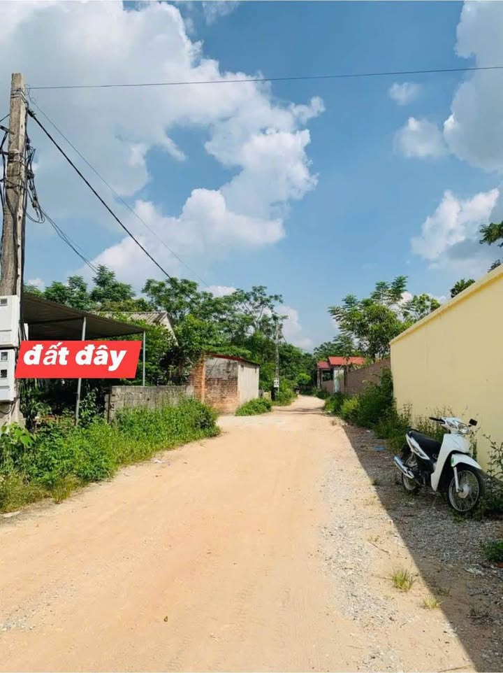 Đất nền thổ cư 120m² xã Hướng Đạo, Tam Dương, Vĩnh Phúc - Giá chỉ 1 tỷ!