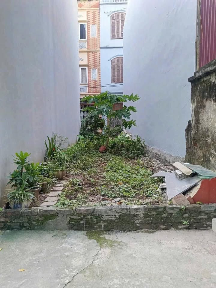 Đất Vĩnh Quỳnh 50m² giá 400 triệu - Cơ hội đầu tư sinh lời!