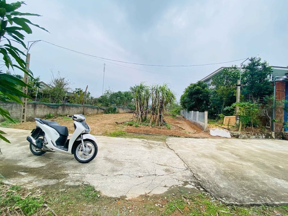 Đất thổ cư thôn Văn Minh, xã Tân Lâm Hương - 129m² giá 900 triệu - Đầu tư sinh lời!