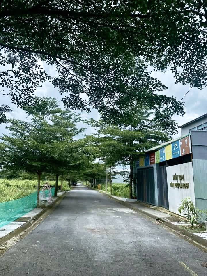 Đất thổ cư 600m² đường Trương Công Định, Tân Phú giá 1.4 tỷ - Cơ hội đầu tư tuyệt vời!