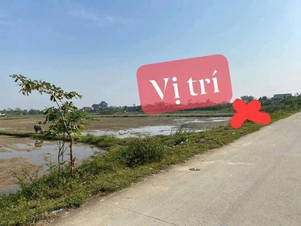 Đất đấu giá Tuy Lộc, Hậu Lộc 196m² giá 900 triệu - Cơ hội đầu tư tuyệt vời!