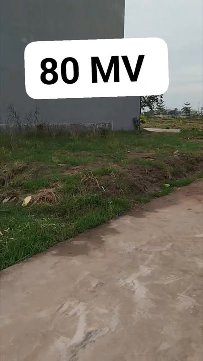 Lô đất Quốc Tuấn An Lão 80m² giá 900 triệu - Hướng Bắc, đầu tư sinh lời!