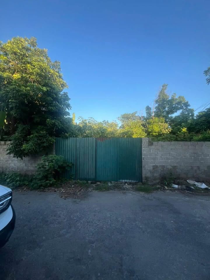 Đất nền Cẩm Sơn 77m² giá chỉ 3xx triệu - Cơ hội đầu tư tuyệt vời!