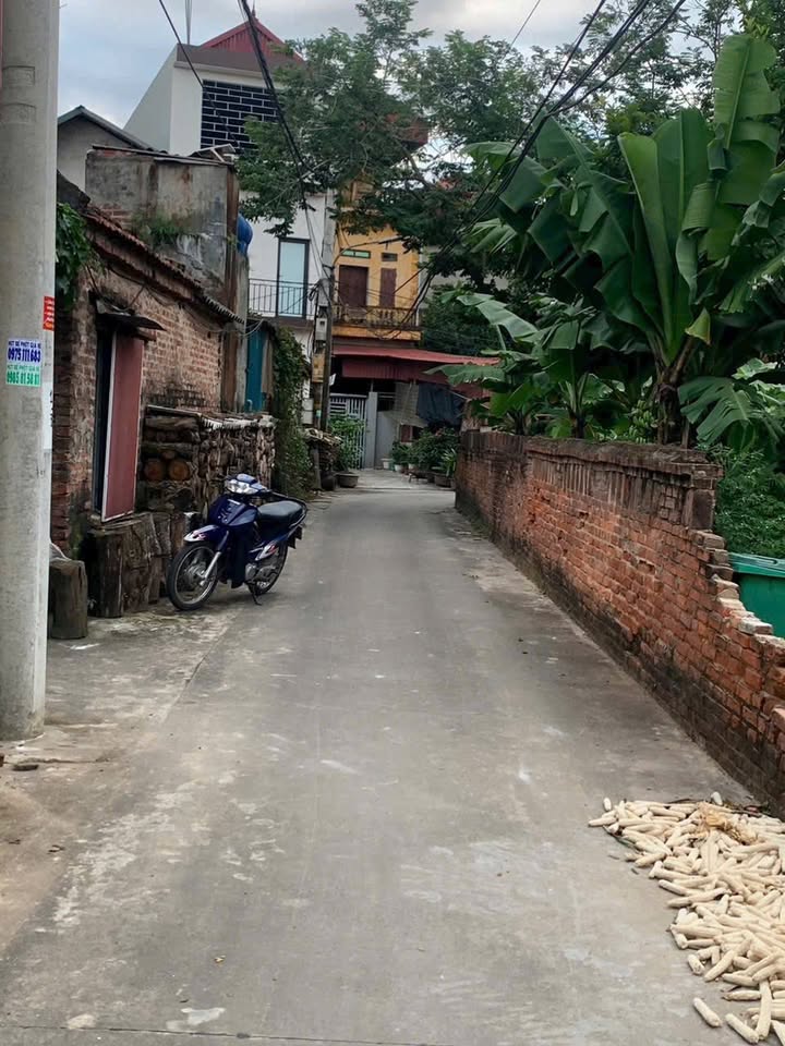 Đất ở đô thị Xuân Lâm, Thuận Thành 73m² - Giá chỉ 3x triệu/m², cơ hội đầu tư tuyệt vời!