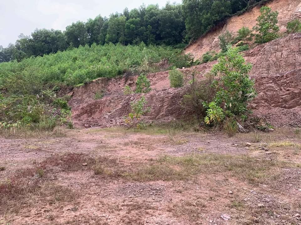 Đất nền Phúc Trìu 6.000m² giá thỏa thuận - Địa thế vàng cho đầu tư!