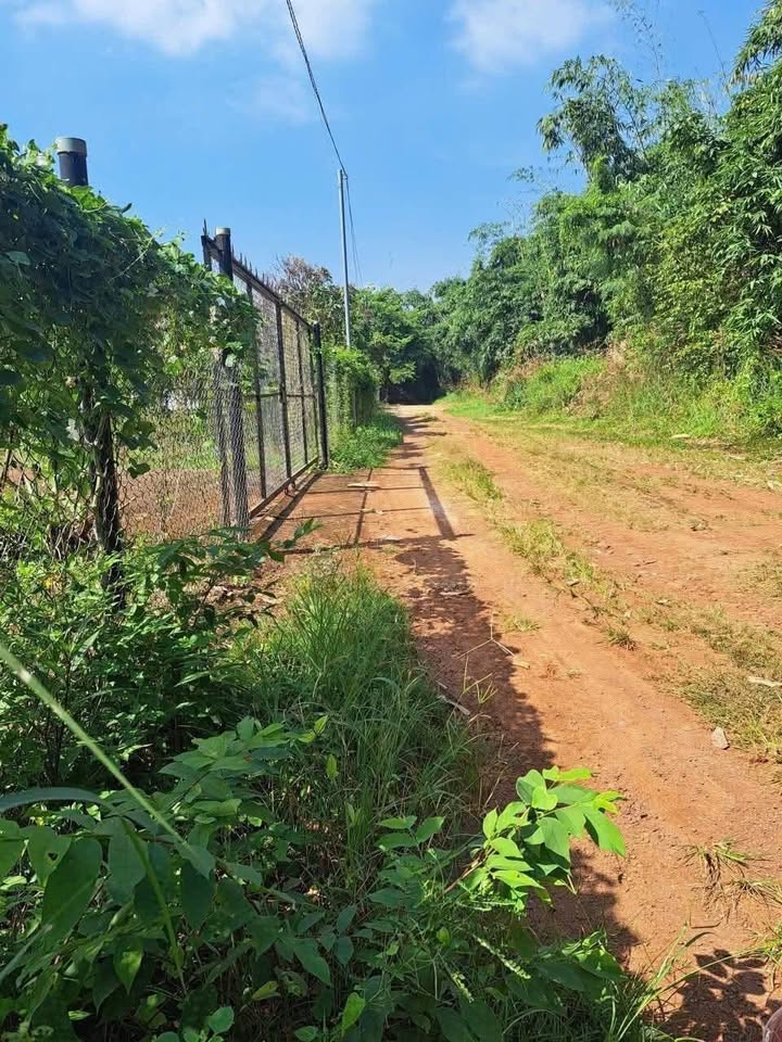 Đất nền Long Phước Thủ Đức 5000m² giá chỉ 2 tỷ - Cơ hội đầu tư hấp dẫn!