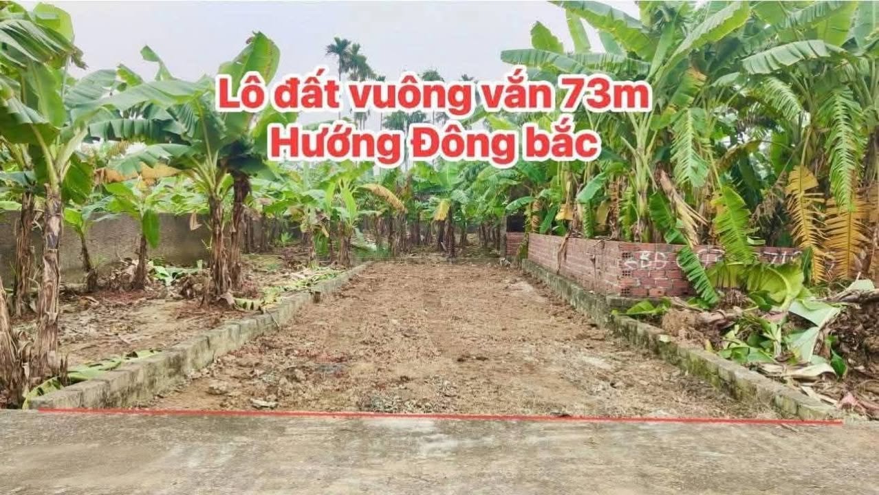 Đất nền 73m² tại Phường Lê Ích Mộc, Thủy Nguyên - Giá chỉ 400 triệu VND!