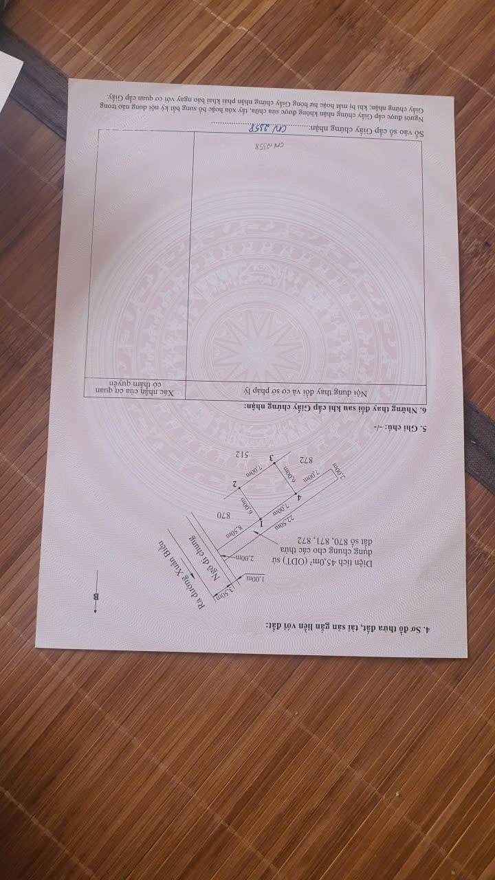 Nhà 3,5 tầng tại Xuân Biểu Kiến An 45m² giá chỉ 1.9 tỷ - Thiết kế đẹp, sẵn sàng vào ở!