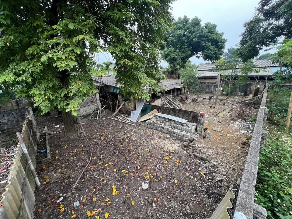 Đất nền An Tường 179m² giá 5 tỷ - Đất vuông vắn, gần trường và bệnh viện!