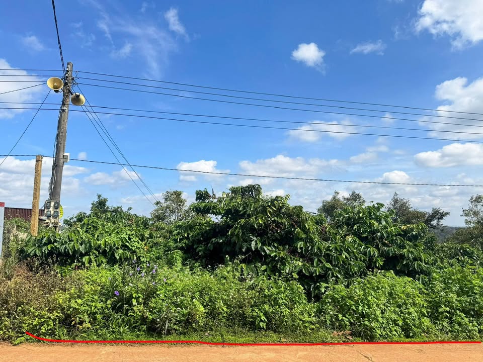 Đất nền Ea Tân, Krông Năng, Đắk Lắk 504m² giá 400 triệu - Đầu tư sinh lời ngay!