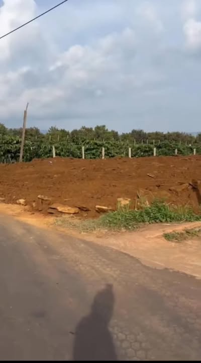 Đất nền Quốc lộ 29, xã Tam Giang 600m² giá 5.55 tỷ - Đầu tư sinh lời ngay!