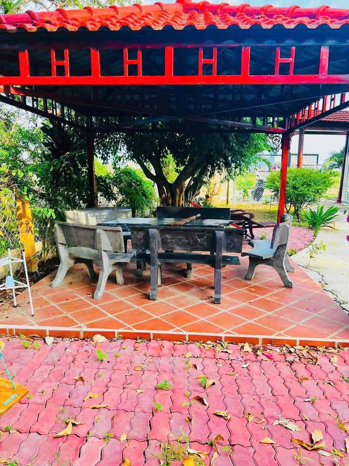 Nhà vườn thôn 5, Hàm Liêm, 1.333m² giá 1.8 tỷ - Không gian nghỉ dưỡng lý tưởng!