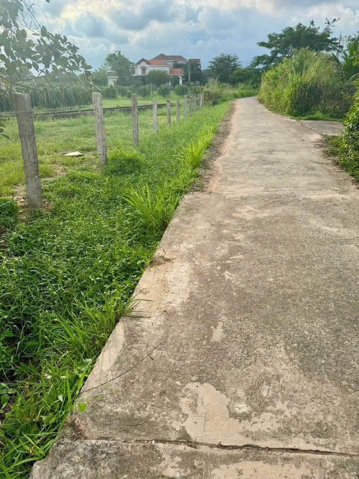 Đất vườn thổ cư xã Hàm Hiệp 1.132m² giá chỉ 740 triệu - Cơ hội đầu tư tuyệt vời!