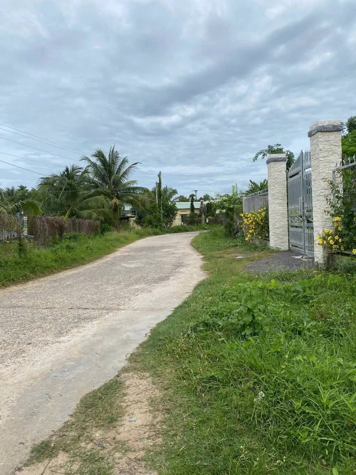 Đất thổ cư 100m² xã Hàm Thuận giá chỉ 320 triệu - Đầu tư sinh lời ngay!