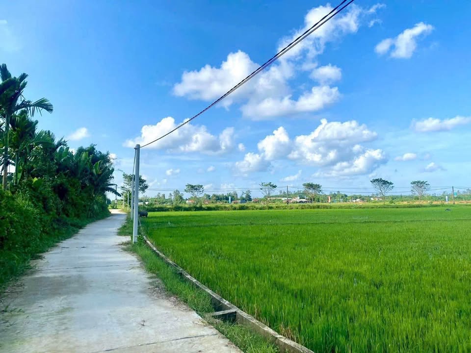 Đất nhà vườn Bà Nà Đà Nẵng 320m² giá 1.4 tỷ - View cánh đồng tuyệt đẹp!