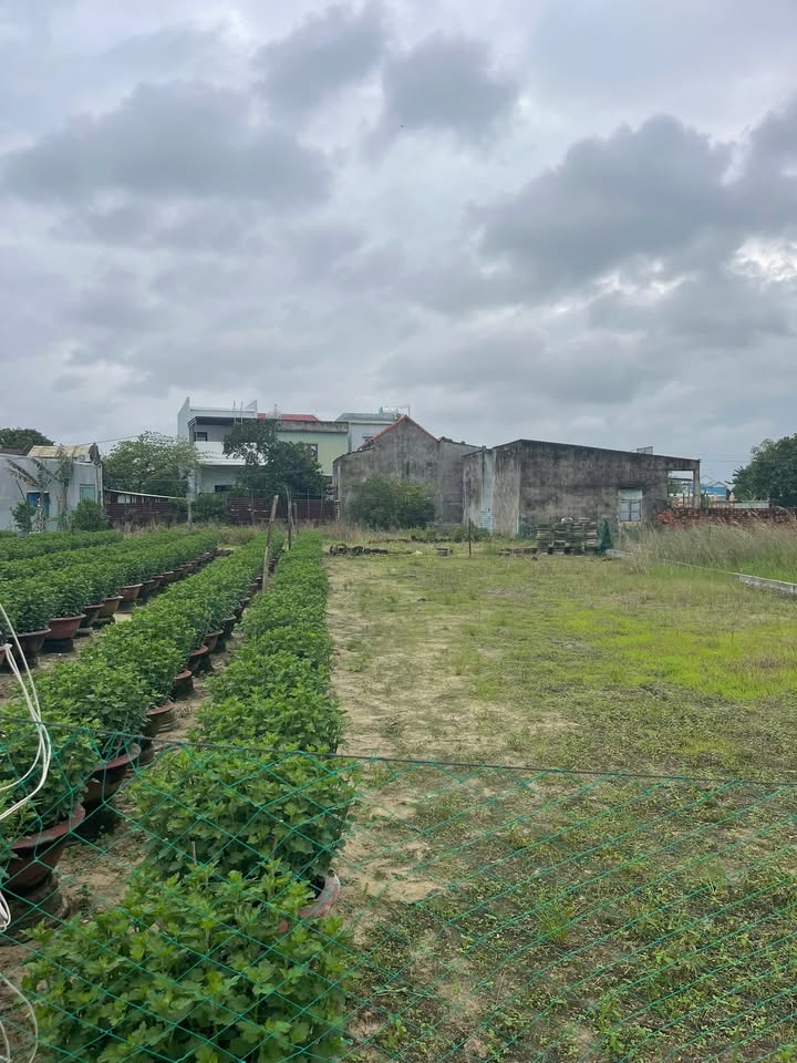 Đất nền Điện Nam Bắc 125m² giá 1.3 tỷ - Cơ hội đầu tư tuyệt vời!