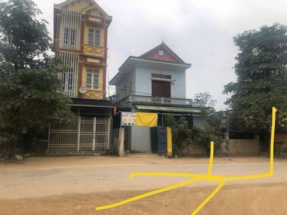 Đất nền thổ cư tại thôn Ngư thôn, xã Thăng Long, Nông Cống 54m² giá chỉ 1 tỷ - Cơ hội đầu tư tuyệt vời!