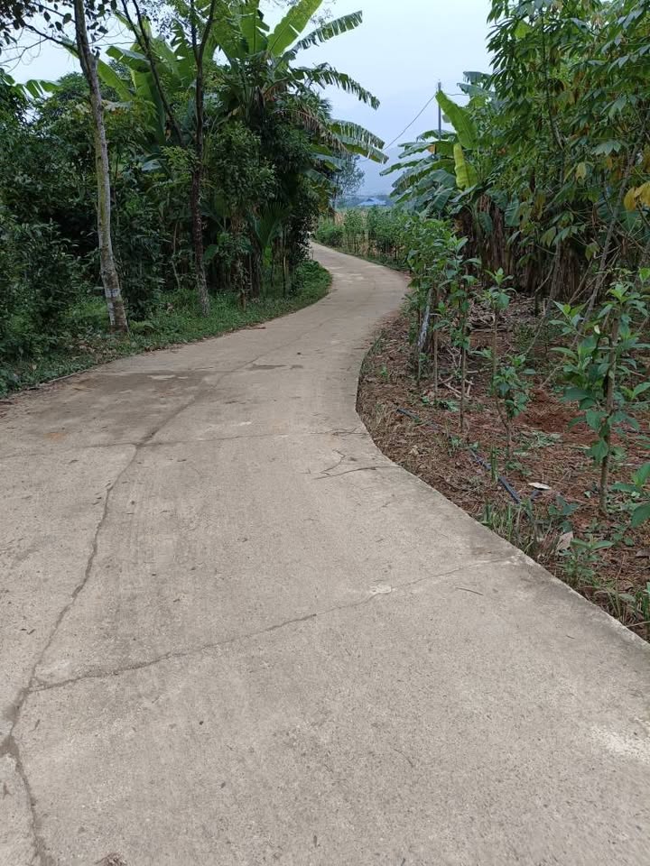 Đất nền Phong Quang Vị Xuyên 2805m² giá 600 triệu - Đầu tư sinh lời ngay!