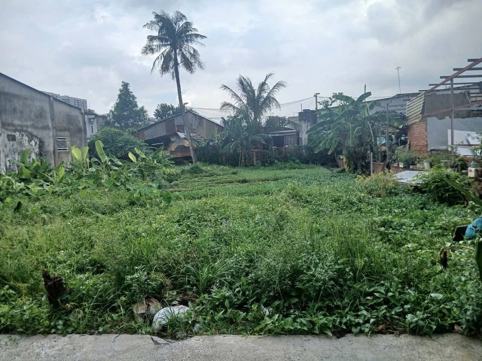 Đất nền Long Thạnh Mỹ, Thủ Đức 563m² giá 21 tỷ - Đường xe hơi thuận tiện!