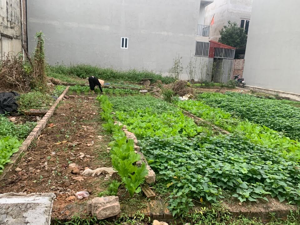 Đất nền Quang Tiến, Sóc Sơn 40m² giá 1 tỷ - Đường rộng, tiện ích đầy đủ!