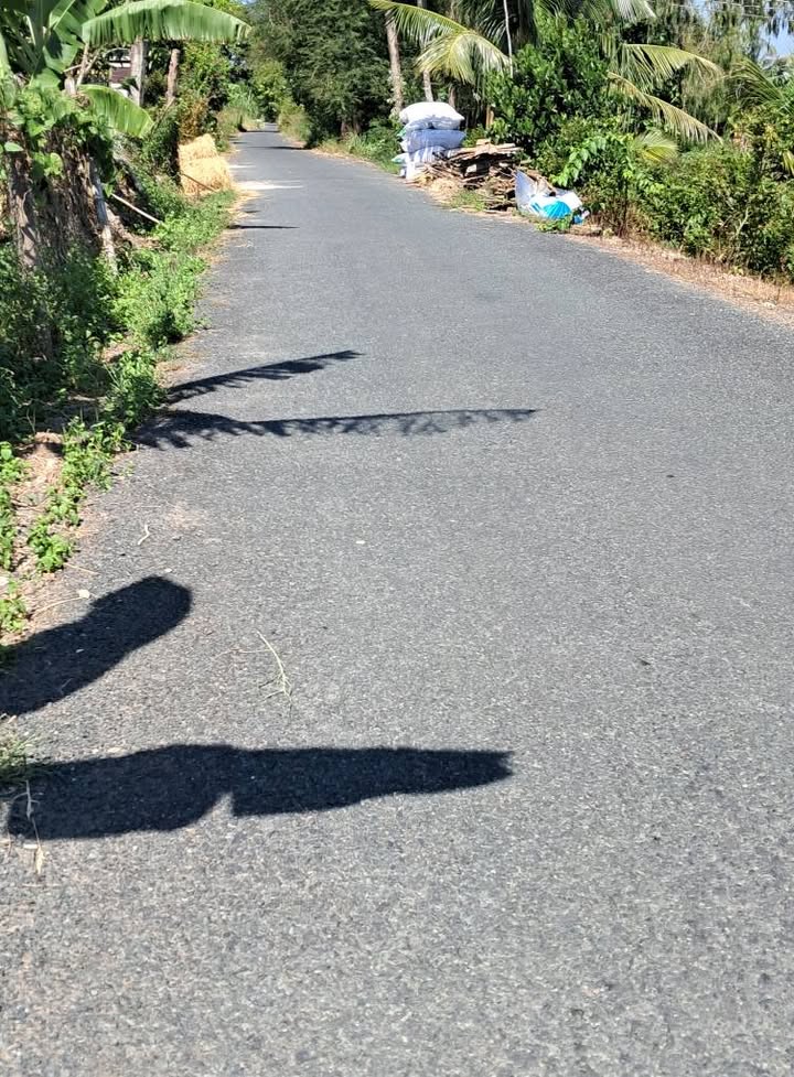 Đất nền thổ cư và CLN Xã Thanh Bình 744m² giá 800 triệu - Đầu tư sinh lời ngay!