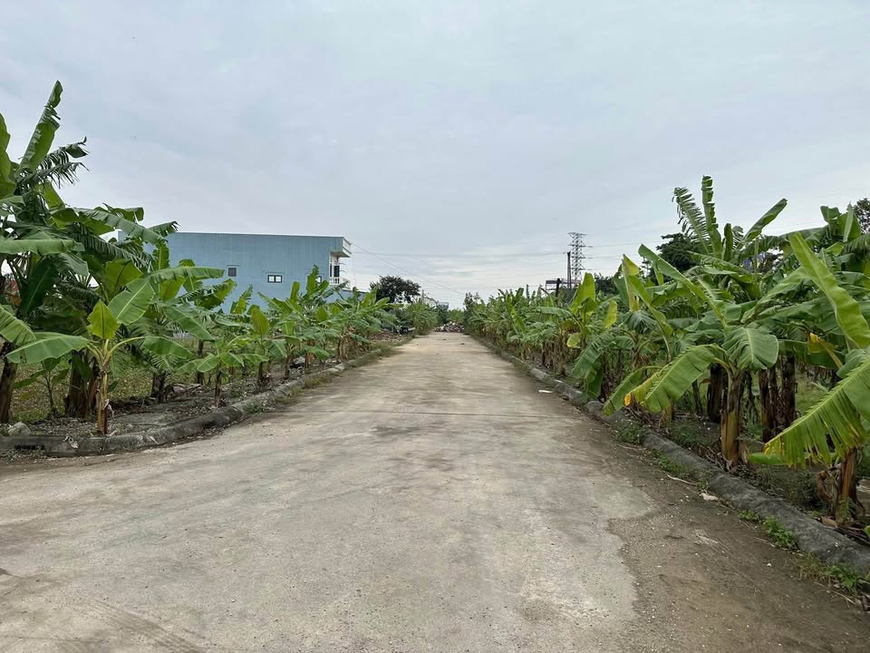 Đất nền mặt tiền chợ Dầu, Khánh Hòa 112.5m² giá 2 tỷ - Đầu tư sinh lời ngay!