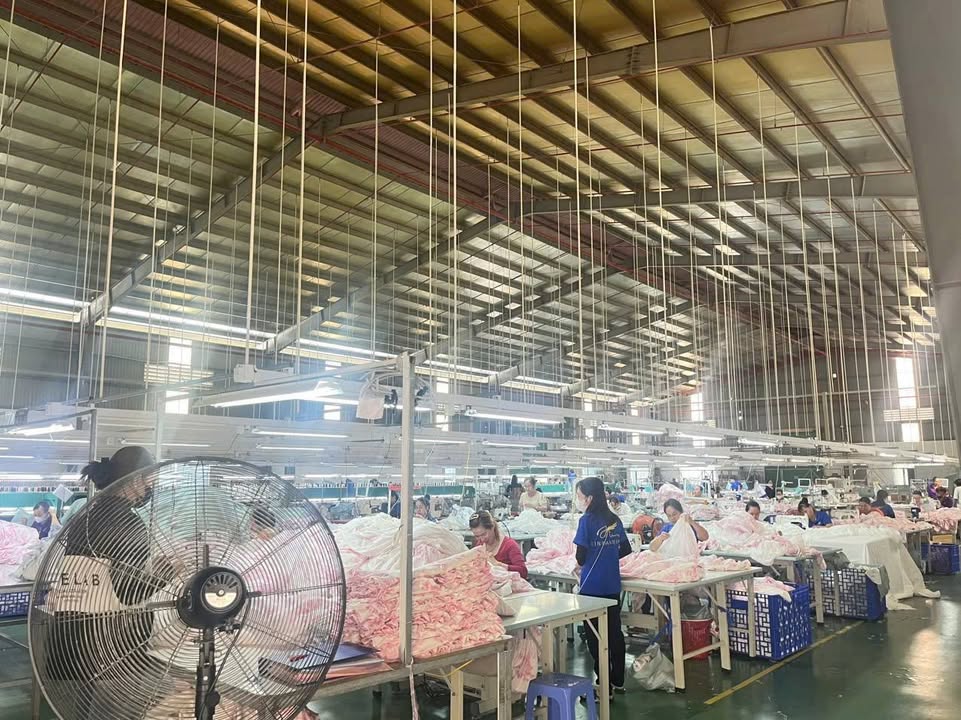 Xưởng may mặc 20.000m² tại KCN Đức Hòa - Long An, chỉ 166 tỷ - Cơ hội đầu tư vàng!