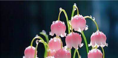 Đất nền Hẻm 230 Nguyễn Chí Thanh, 82m² chỉ 500 triệu - Cơ hội đầu tư lý tưởng!