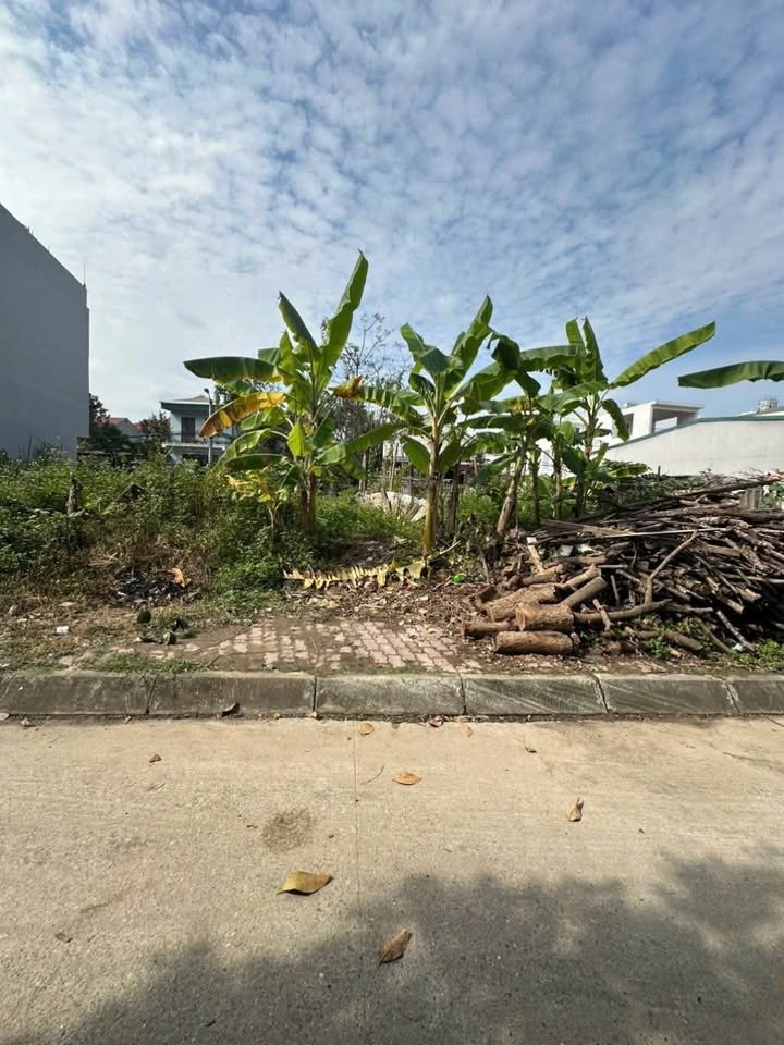 Đất nền tại khu tái định cư Thịnh Lang 109.2m² giá 19.5 triệu - Mặt tiền nở hậu đẹp!