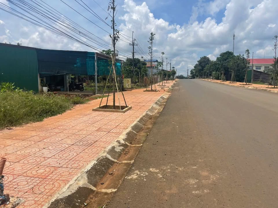 Đất nền mặt tiền đường Lê Thánh Tông, phường Nghĩa Tân, 315m² giá 1.75 tỷ - Đầu tư sinh lời ngay!