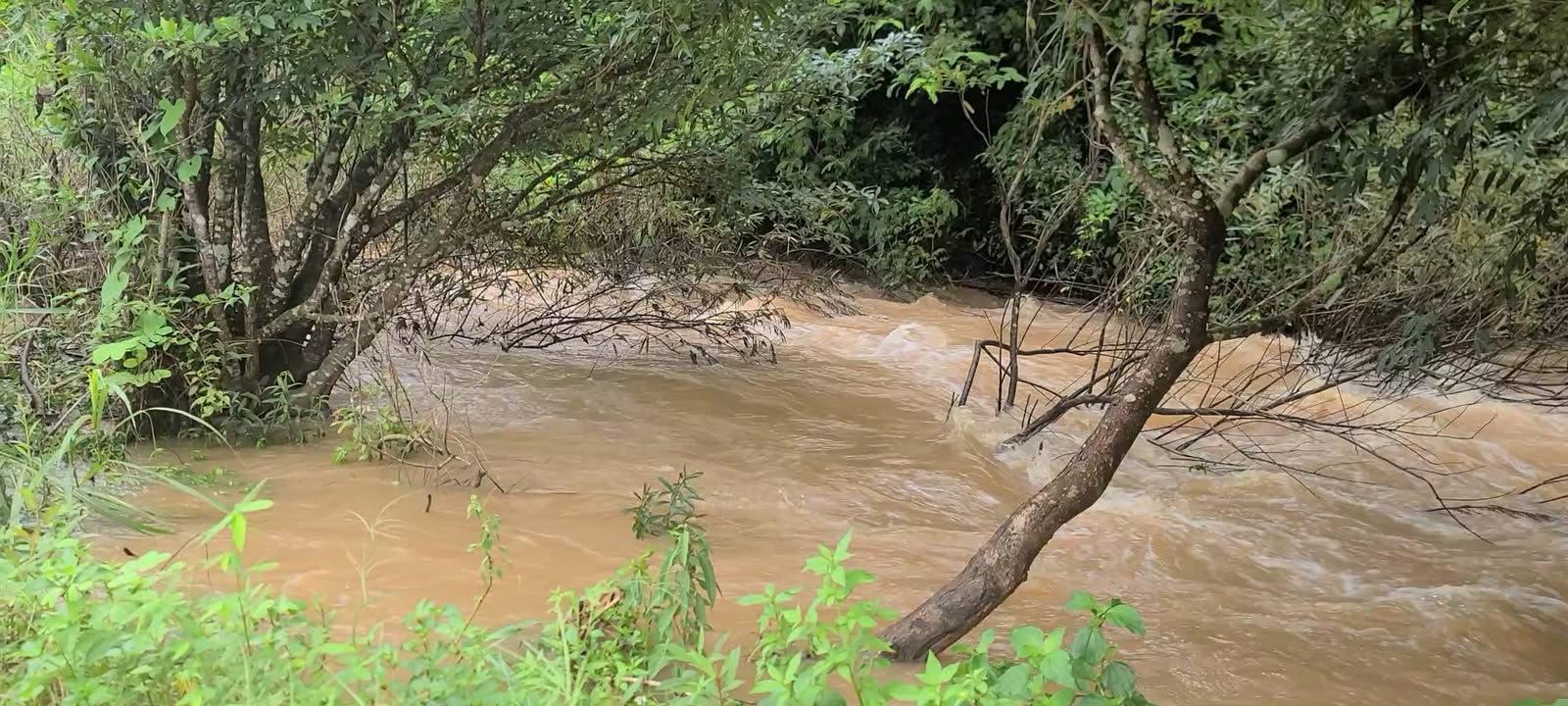 Đất Farm 1,7ha tại Đắk Mil chỉ 1 tỷ - Cơ hội đầu tư tuyệt vời!