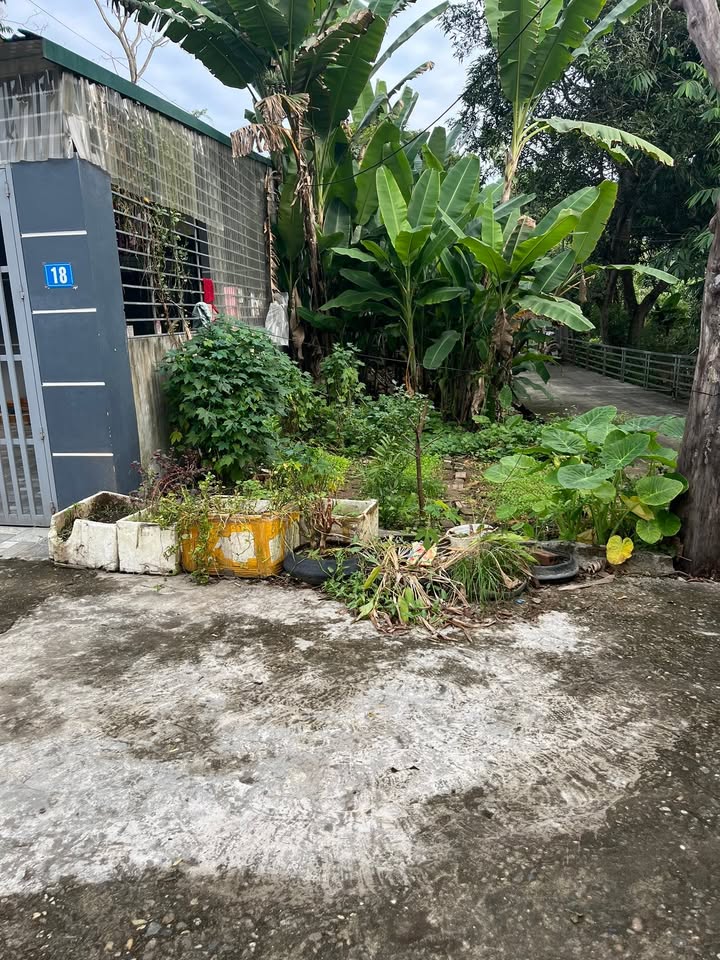 Đất nền Tràng Đà, Tuyên Quang 103m² giá 780 triệu - Bán gấp chính chủ!