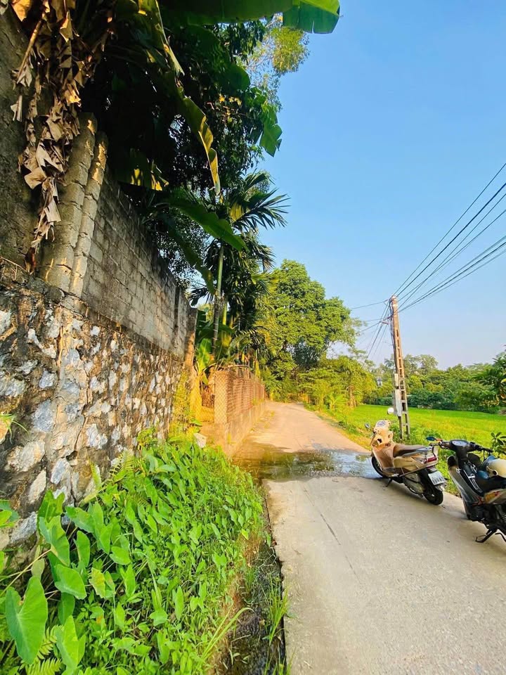 Đất chính chủ phường Nông Tiến, Tuyên Quang 165m² giá 1 tỷ - Cơ hội vàng đầu tư!