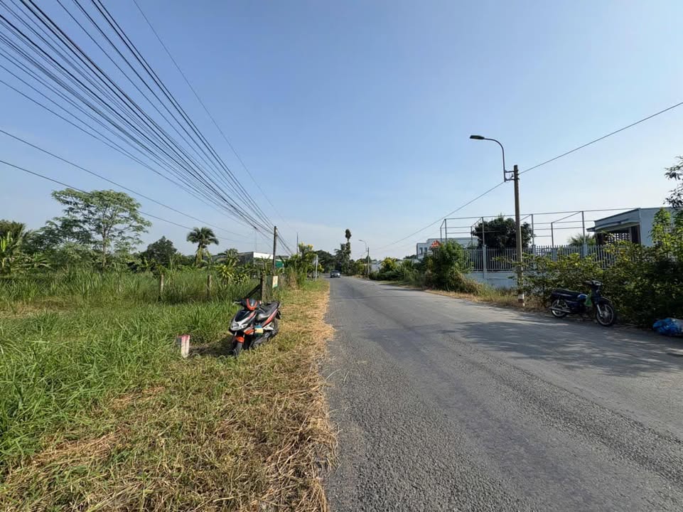 Đất nền thổ cư mặt tiền Cao Thị Mai, 260m² chỉ 1.55 tỷ - Đầu tư sinh lời ngay!